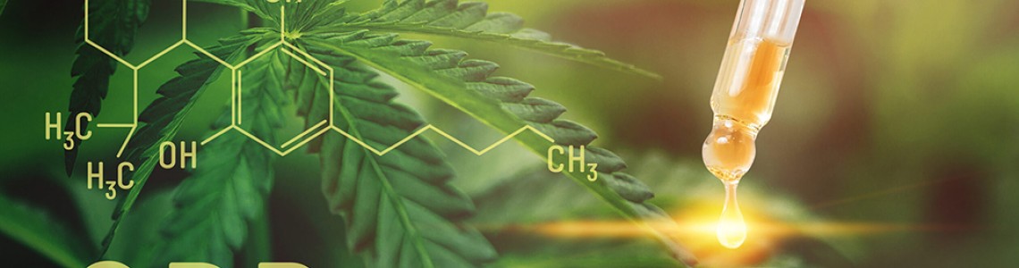 CBD: Principales beneficios y tendencias